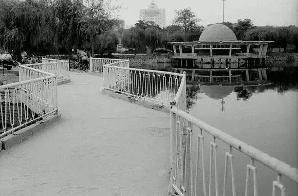 衡水自然之旅，探寻内心宁静与喜悦的胜地